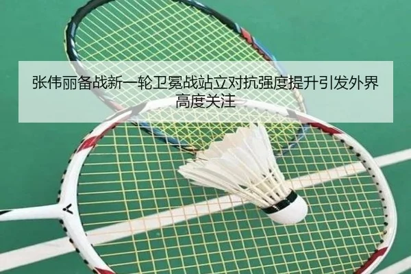 张伟丽备战新一轮卫冕战站立对抗强度提升引发外界高度关注